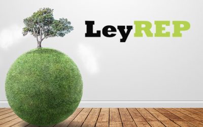 Implementación de la Ley REP: Recolección y valorización de neumáticos