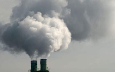 Cero huella, cero excusas: UCSC revela secretos para un mundo sin CO2