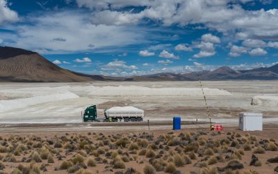 Primer Tribunal Ambiental ordena paralización parcial de faenas de Quiborax en el Salar de Surire